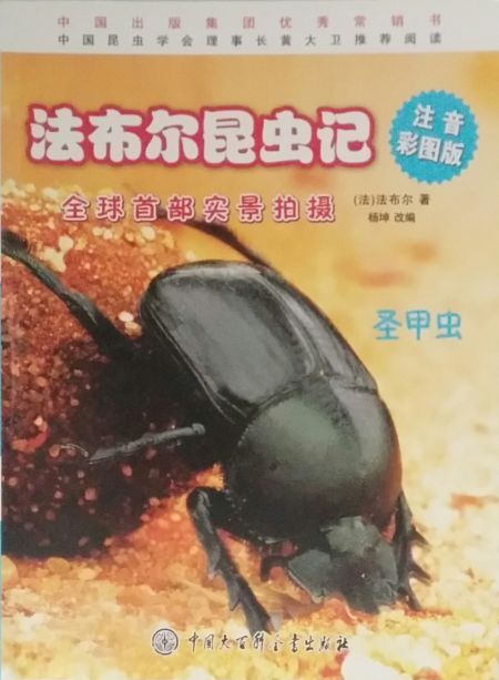 法布尔昆虫记(圣甲虫注音彩图版)