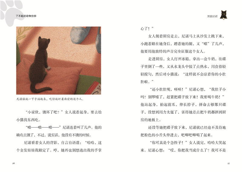 黑猫尼诺 多抓鱼二手书