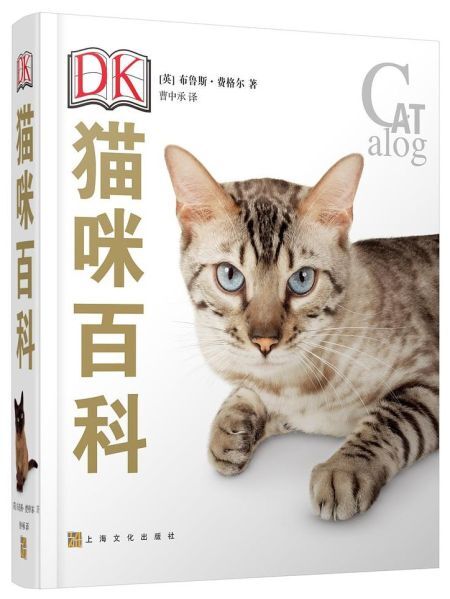 dk猫咪百科