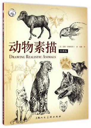 动物素描经典版