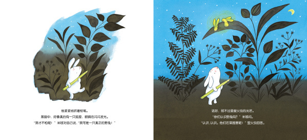 兔子的心愿
