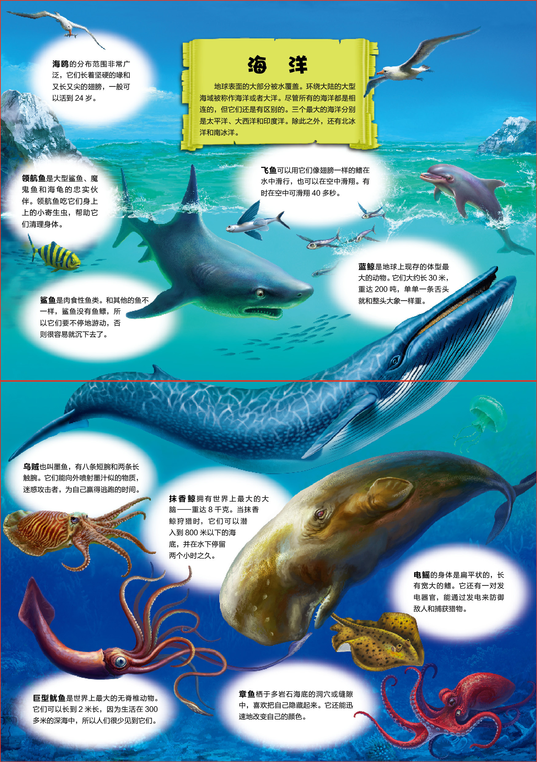 为什么海洋里有那么多生物？