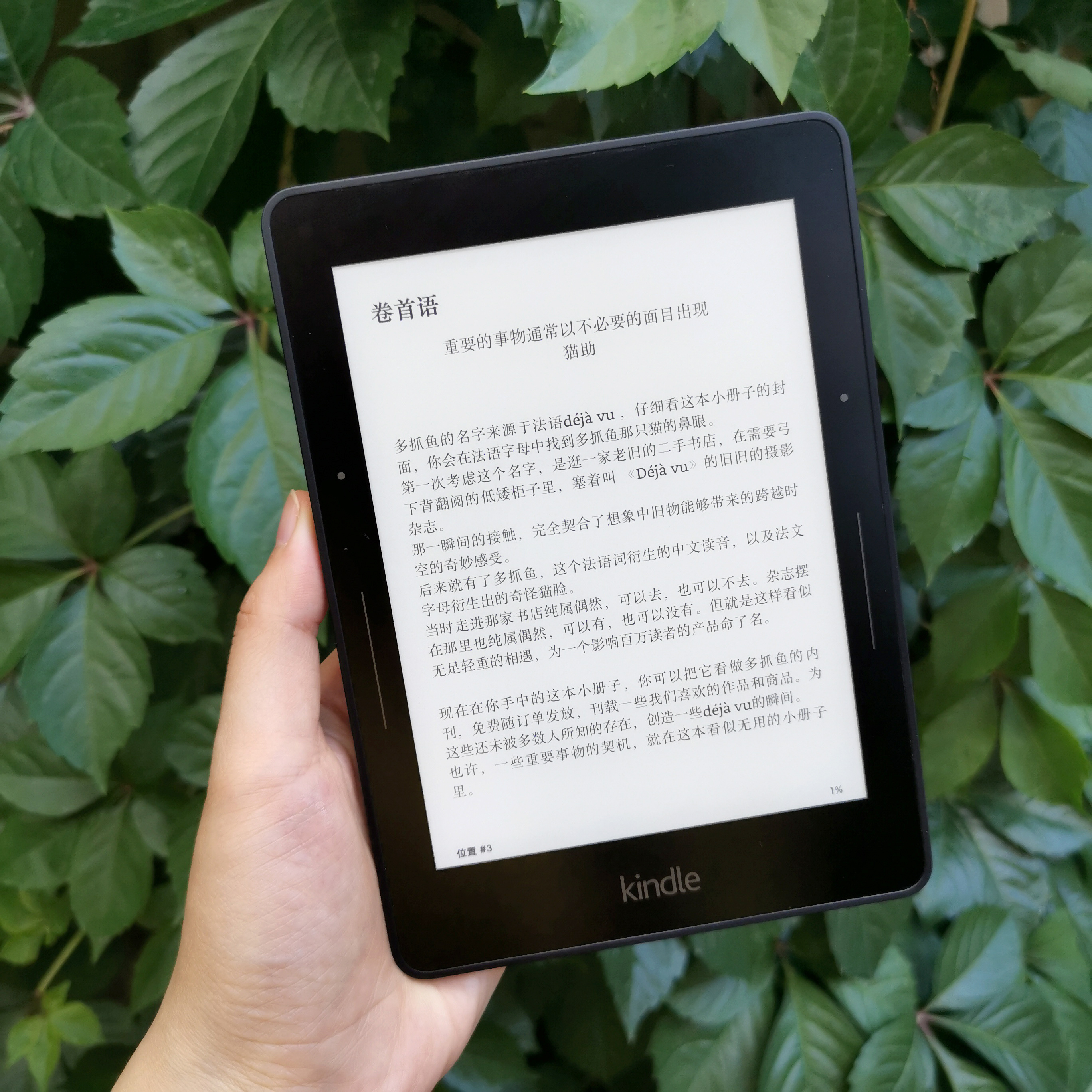 亚马逊 kindle voyage 电纸书 - 多抓鱼