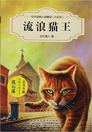 流浪猫王(升级版)