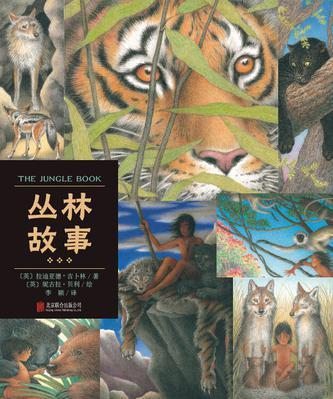 丛林故事