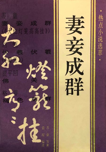 妻妾成群 - 多抓鱼二手书